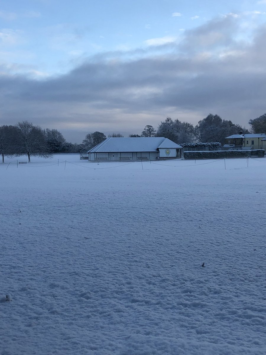 Anyone fancy a run out ? 🏏 🥶