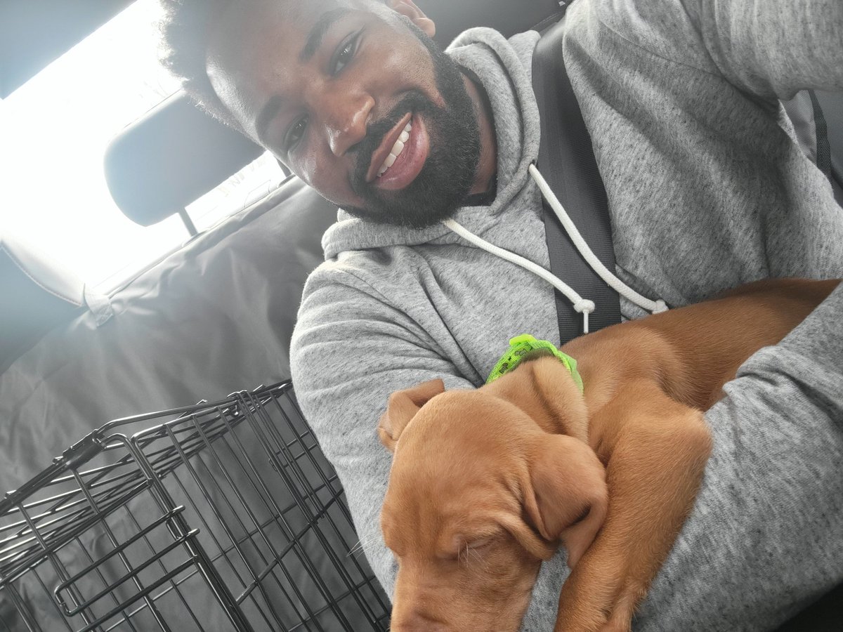 Miles Morales tweet media