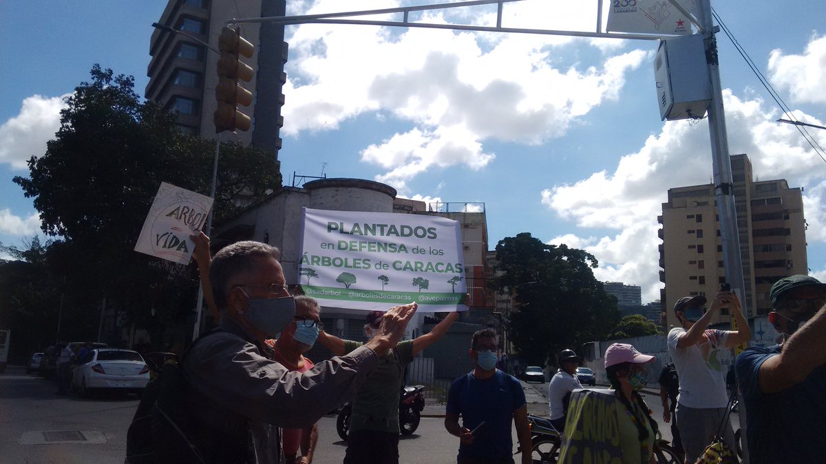 ecorina2's tweet photo. Fue muy buena la caminata en defensa de los árboles desde CC Recreo al Puente de las Mercedes frente a la Escultura que sustituyó a un Mare Mare como explico Cheo Carvajal @caracasapie a los asistentes. El inicio de un movimiento por la recuperación de la Ciudad en 3 municipios. https://t.co/z8KpwFiTlL