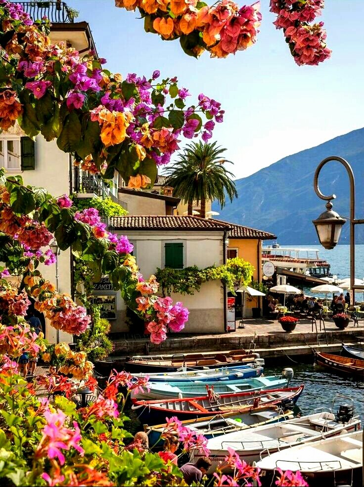 <a href="/mvf7186/">#TmSofia</a> <a href="/Siogo61/">@siogo61</a> <a href="/MaJaVi_/">♠️🎰҉M҉A҉R҉C҉E҉L҉O҉ ҉</a> <a href="/_dicastutoriais/">😎IFB🏄Felipe🏄🔰#GaleraTopSDV🔰</a> <a href="/nealhailey/">🌹nealhailey🌹</a> <a href="/Charlizefanart/">Charlize Theron Fanart</a> @tributeMads <a href="/RedAdhara/">Adhara</a> <a href="/sitaravirgo/">sitara_star 💫🌟</a> <a href="/Jilliemary/">Jillian Peeling</a> <a href="/Zeno_Mello/">🇧🇷Zeno_Mello🇧🇷</a> @GRAHAM15583070 <a href="/Aquaman_Ofc/">AＱＵＡＭＡＮ 👑</a> <a href="/yelarvel/">*♋️Hecate♋️💞🌻🌷🌹💞</a> <a href="/NergisN/">♡🌹♤ηιƇҚy ηεrgιȘ♤🌹♡</a> <a href="/elsufuen/">Susana Fuentes</a> Follow All That Retweet This⬇️
<a href="/mvf7186/">#TmSofia</a> 
<a href="/Siogo61/">@siogo61</a> 
<a href="/MaJaVi_/">♠️🎰҉M҉A҉R҉C҉E҉L҉O҉ ҉</a> 
<a href="/_dicastutoriais/">😎IFB🏄Felipe🏄🔰#GaleraTopSDV🔰</a> 
<a href="/nealhailey/">🌹nealhailey🌹</a> 
<a href="/Charlizefanart/">Charlize Theron Fanart</a> 
@tributeMads
<a href="/RedAdhara/">Adhara</a> 
<a href="/sitaravirgo/">sitara_star 💫🌟</a> 
 
<a href="/Jilliemary/">Jillian Peeling</a> 
<a href="/Zeno_Mello/">🇧🇷Zeno_Mello🇧🇷</a> 
@GRAHAM15583070 
<a href="/SergioA60798547/">Sergio</a> 
<a href="/Aquaman_Ofc/">AＱＵＡＭＡＮ 👑</a> 
<a href="/yelarvel/">*♋️Hecate♋️💞🌻🌷🌹💞</a> 
<a href="/NergisN/">♡🌹♤ηιƇҚy ηεrgιȘ♤🌹♡</a> 
<a href="/elsufuen/">Susana Fuentes</a> 

#TmSofia 
#TmPetal