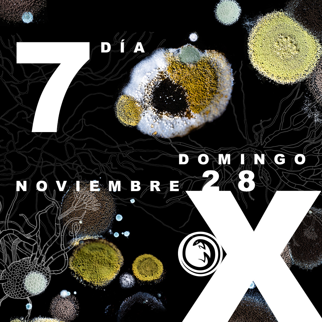 TeatroRendija's tweet photo. 🌿Día 7🌿Hoy finaliza el X° Festival de Teatro de la Rendija. Iberoamérica en Escena. Fueron 7 días de actividades y convivencia con artistas y escpectadorxs | Les compartimos las actividades de hoy #AsómatePorLaRendija @SistemaCreacion @Iberescena @redelae13 https://t.co/lufuLGGYyl