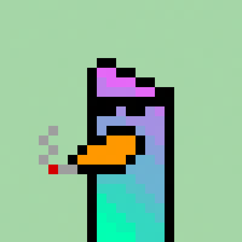 QuackPackNFT's tweet photo. @SolanaSensei excuse me. Quack quack. https://t.co/BprmcpowIL