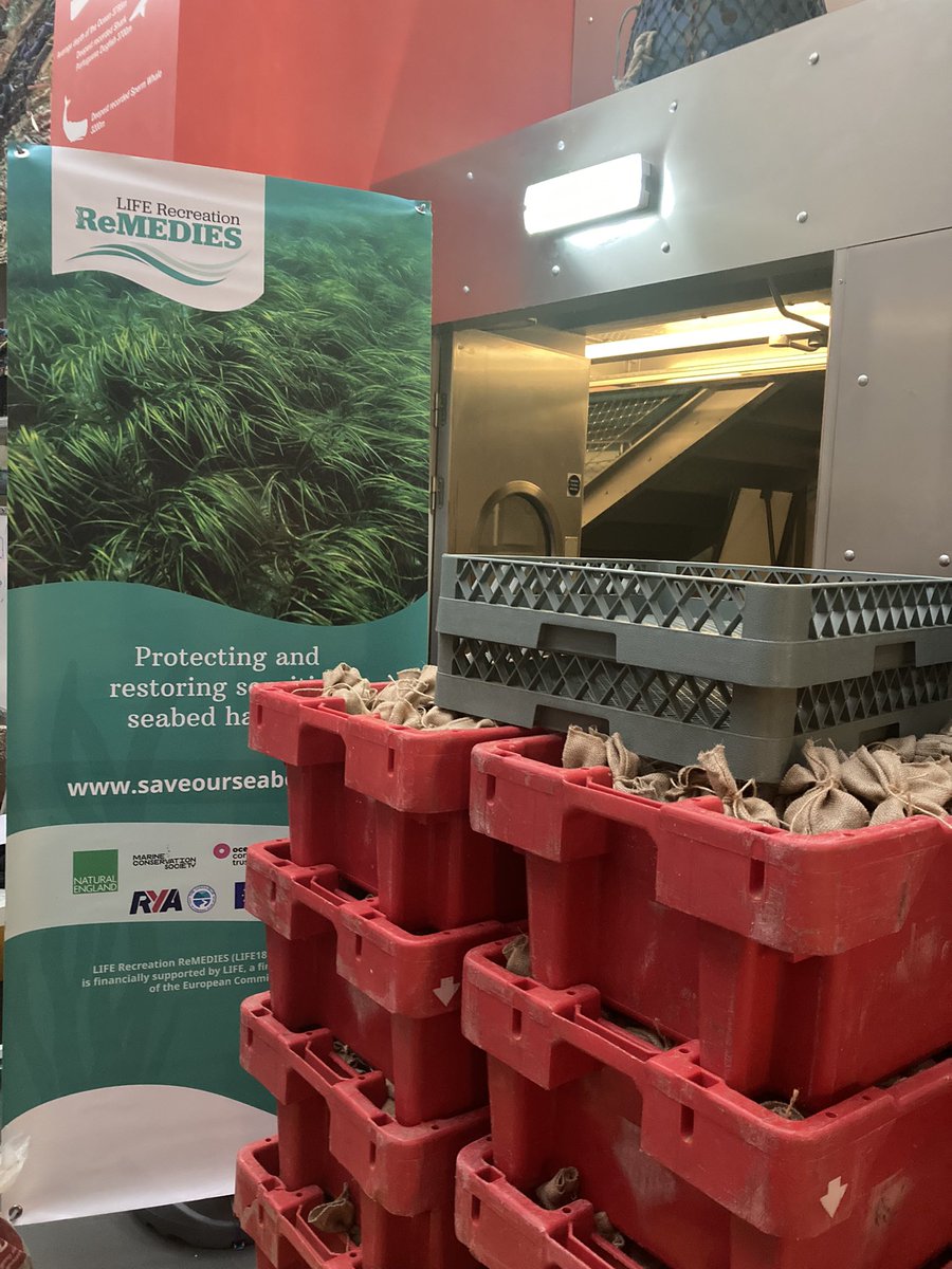 CDoyleMarketing's tweet photo. Nearly 2500 bags of sea grass seed bagged and ready to be ‘dropped’ in the Sound this week! 🤞for cultivation success! @NMAPlymouth @OceanCTrust #Plymouth #daywellspent https://t.co/oHIaskjvz3