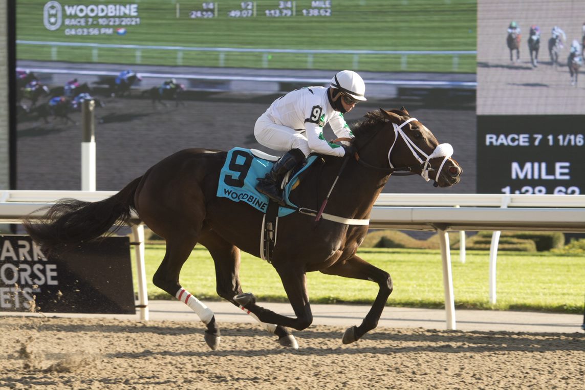 Woodbine Communications tweet media