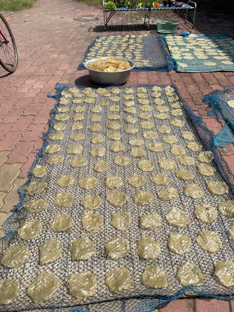 Udwada’s famous papads. Got a chance to watch them being made, such a delight
