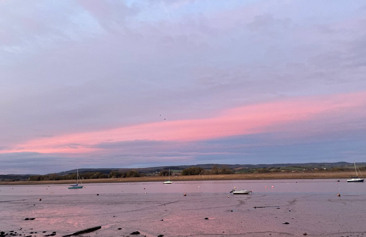 Papps7's tweet photo. Early morning Sunday runs are my favourite. #exeestuary #sunrise #sundayvibes #edinburghmarathon #trainingagain https://t.co/xZ6xNq52Gj