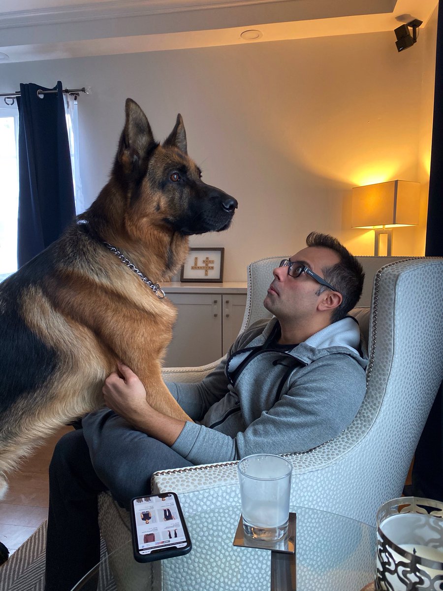 michele225's tweet photo. Oh my heart. Wish I could bring these two back to WA with me. ♥️ https://t.co/KNGoPu6nkH