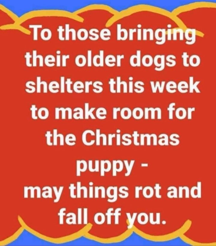 rriproarin's tweet photo. I can’t believe this is an actual thing people need to be scorned for but if you know one of these people let them know that the Netflix show Hellbound Season 2 is looking to cast you. 

#AdoptDontShop https://t.co/jx71fvbNX8