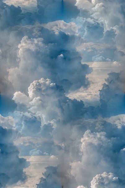 ☁️цепочка твитерских☁️ 
Я #взаимный и буду читать вас если: 

💨Вы будете читать меня

💨Ретвитнете этот твит 

💨И будете читать ретвитнувших 

📘📘📘
#взаимнаяподписка
#ЦепочкаТвиттерских 
#ЦепочкаФолловеров 
#взаимный #читатели