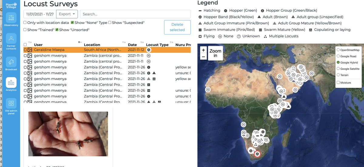 DH_PlantVillage's tweet photo. The use of @plantvillage eLocust3m app in November.  From South Africa to Pakistan. Using a platform approach allows us to use the same technology for our @USAID Current and Emerging Threats to Crops Innovation Lab @CETC_IL https://t.co/TghQKDvyv7