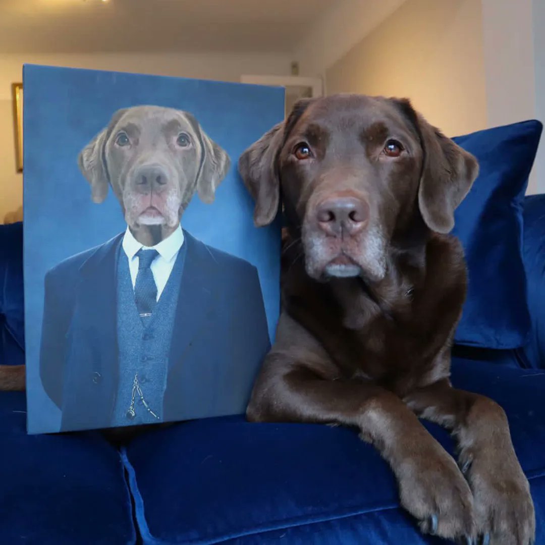 dogsyofficial's tweet photo. 🖼️  @goodboyollie wondering who this furbulous pooch is in the picture... "Oh wait. That's me!" https://t.co/ohVyznQFph