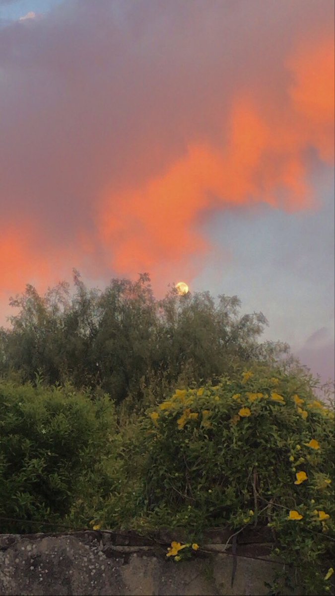 biangraglia's tweet photo. moon supremacy https://t.co/mxmZEEfN2h