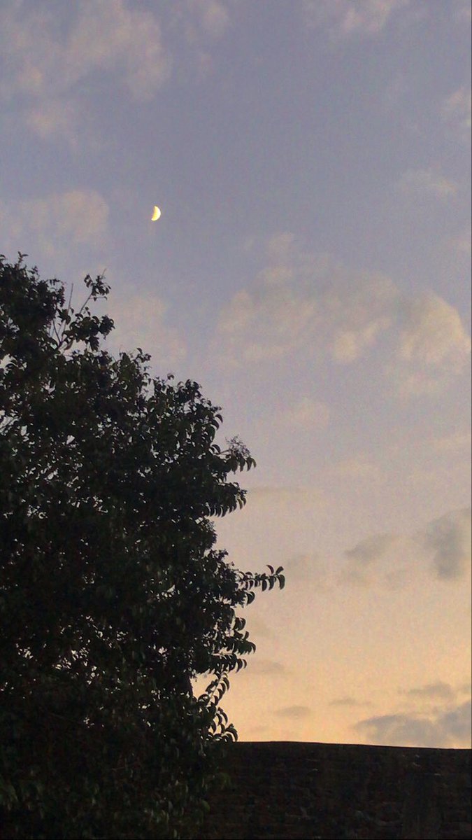 biangraglia's tweet photo. moon supremacy https://t.co/mxmZEEfN2h