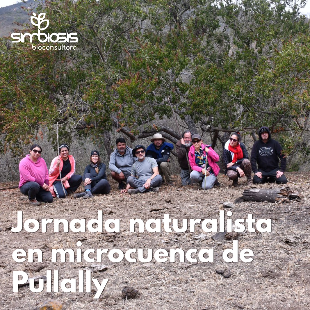 Simbiosis_bio's tweet photo. [HILO] Este sábado, @salvadonghi director de @Simbiosis_bio, junto al Comité de Defensa de #Pulllally, en la localidad de #LaLigua, realizó una jornada naturalista por la quebrada del Cuchepe, con el propósito de que sea protegida como Las Tablas. https://t.co/hUsRQPNWT4