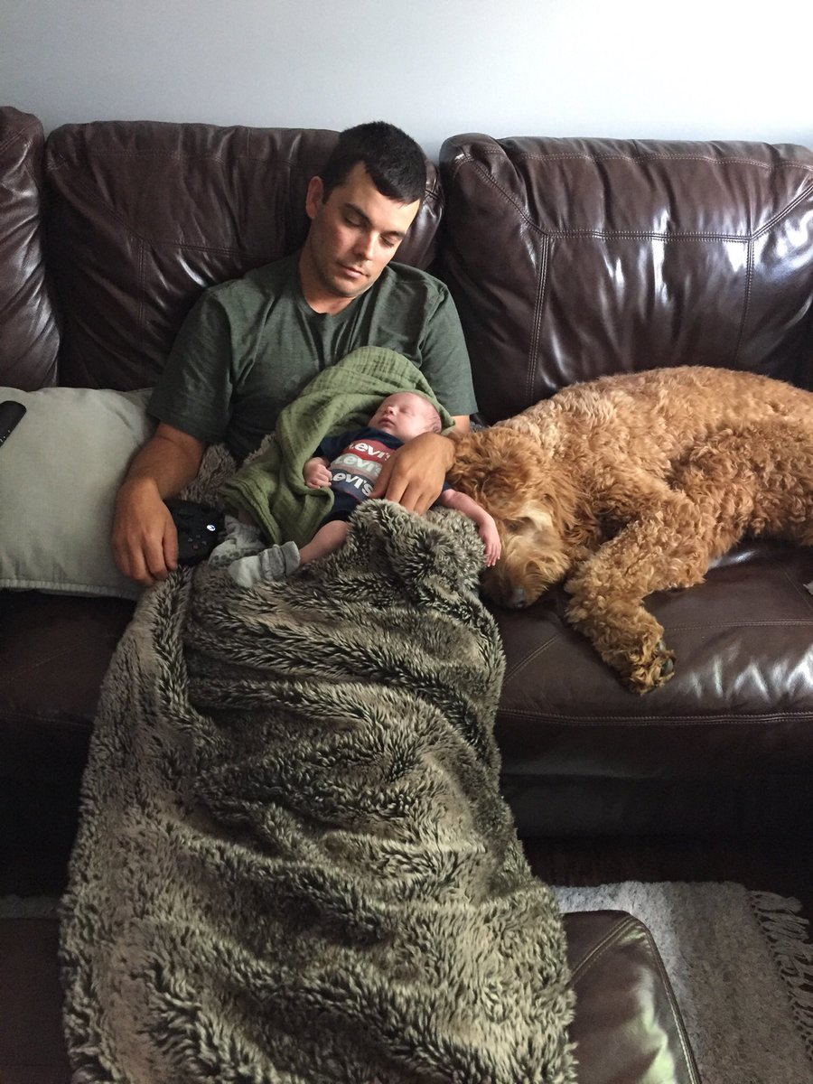 2_Putt_Tony's tweet photo. Griffey, you were the best dog anyone could ever ask for. We’ll make sure Levi is protected for you. I can’t believe this is real and you were taken from us way too soon. Hope you’re chasing all the squirrels in heaven. Love you buddy @dog_rates https://t.co/I6747IpLrR