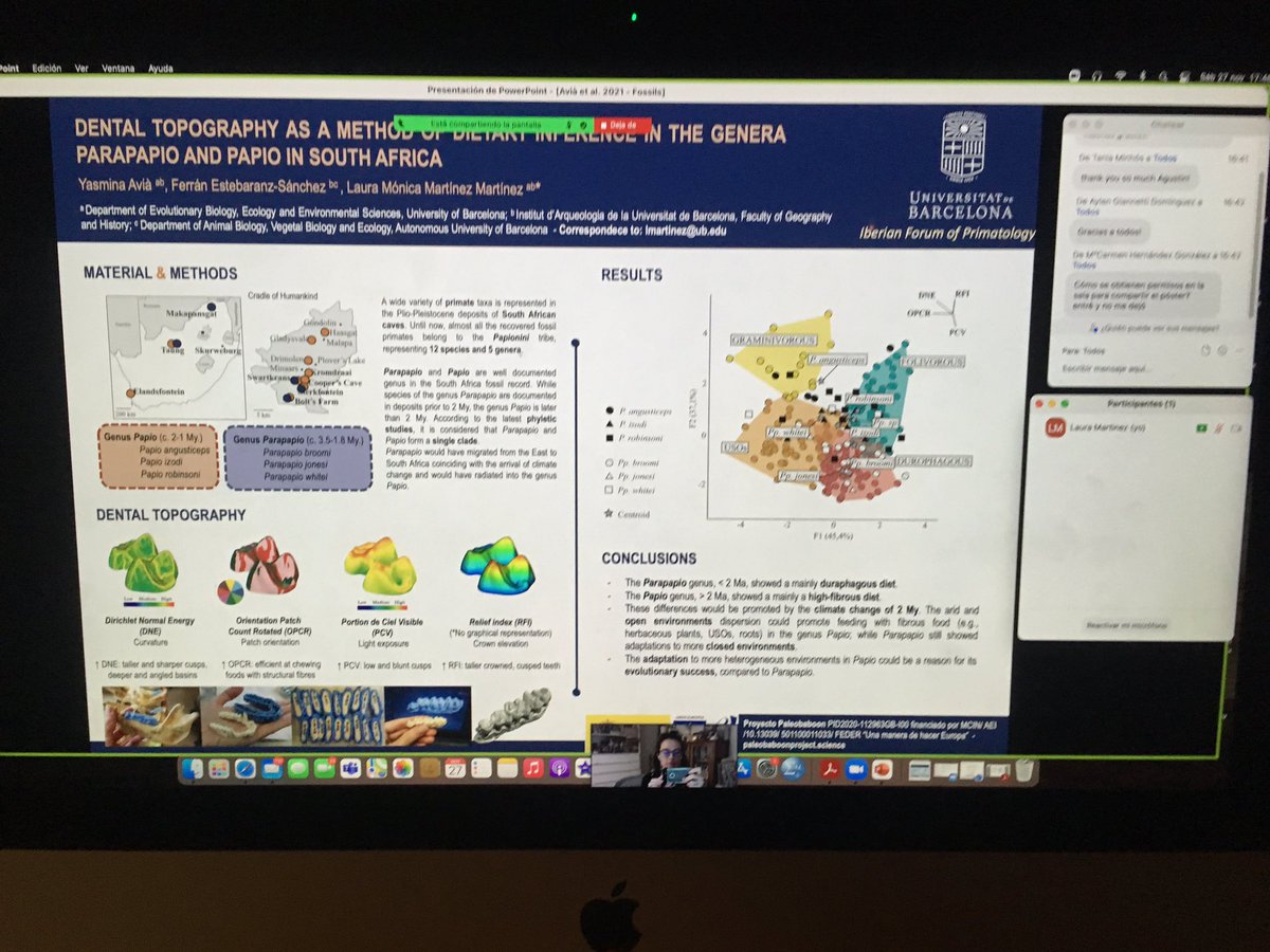 lauranthropus's tweet photo. Ayer presentamos el proyecto @paleobaboon y los resultados de topografía dental en los fósiles de Sudáfrica en el #IFP2021 @APEspain con @Yas_Avia y @lostinpalmyra https://t.co/2Ahfs5aBRo