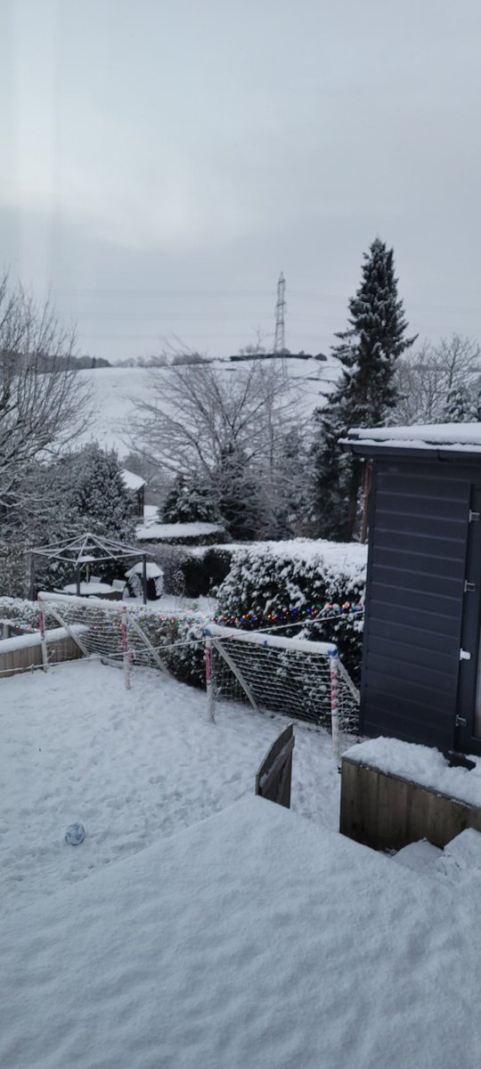 Calceena Binns tweet media