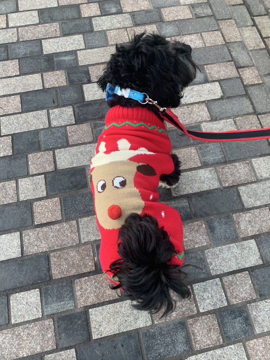 Caught up with Santa at the ⁦Helensburgh Winter Festival and even the dogs were getting into the festive spirit! ⁦@HBwinterfest⁩ ⁦<a href="/DestHelensburgh/">Destination Helensburgh</a>⁩