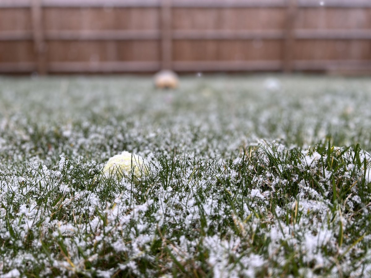 aaluwalibiryani's tweet photo. #snowfall2021 https://t.co/kcMN5nMpEX
