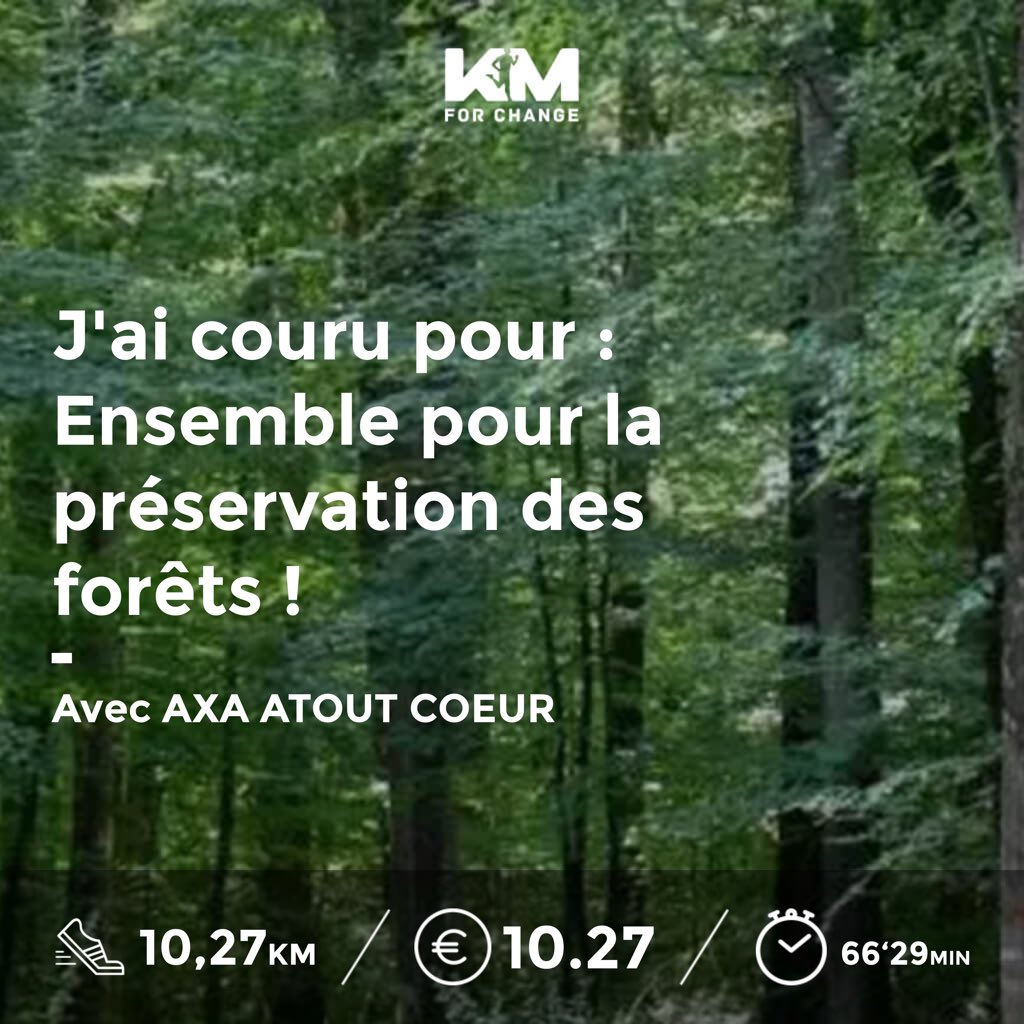 Jérôme Lestoquoy tweet media