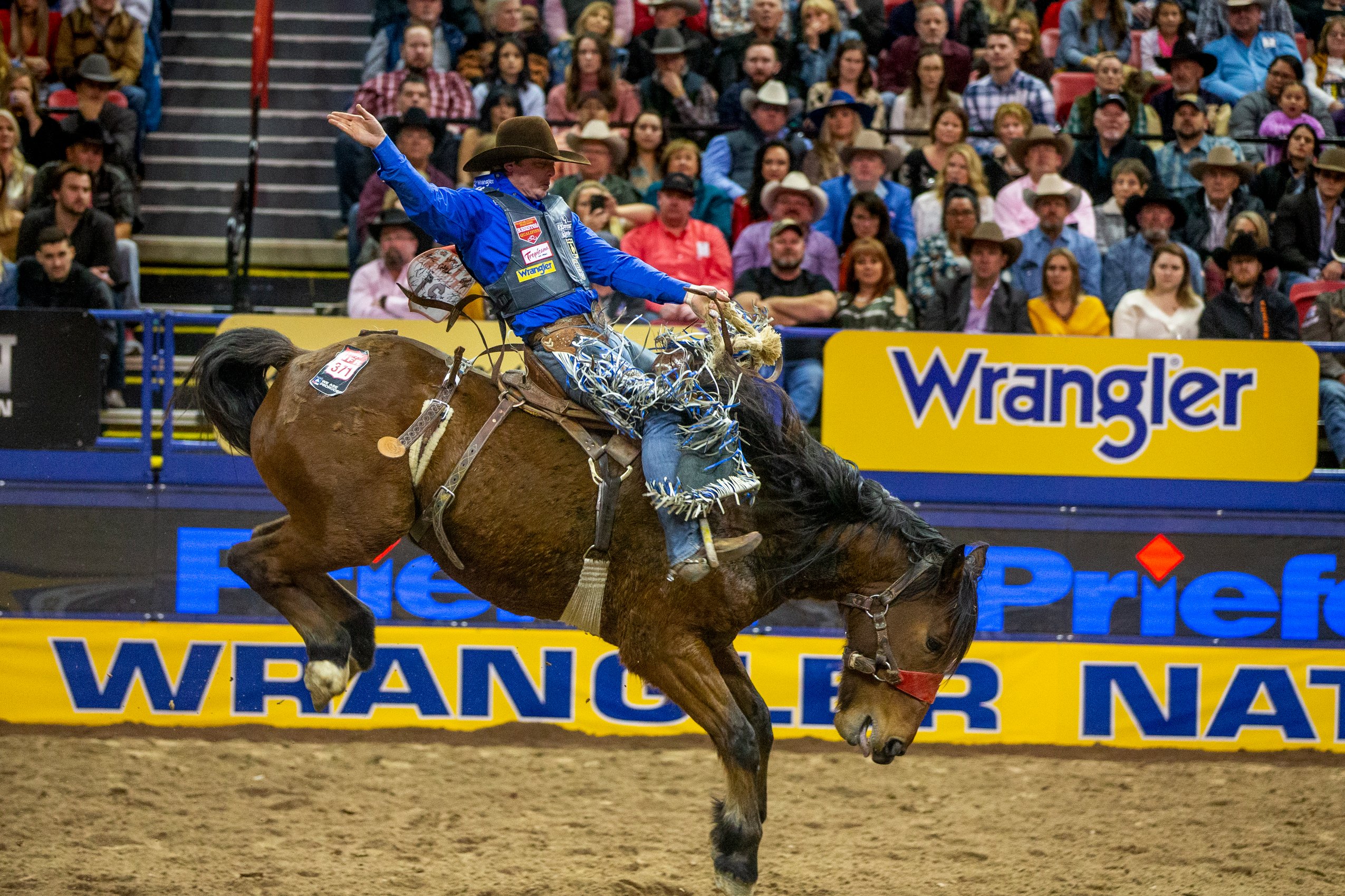 Nfr National Finals Rodeo 21 Live Wnfrlivetvfree Twitter