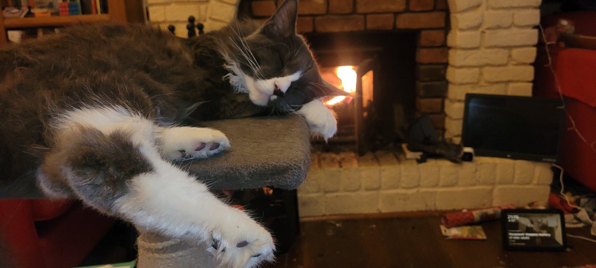 Rasputin_Cat's tweet photo. You really can't beat an open fire, this is really the life! https://t.co/TkQdpvXjAF