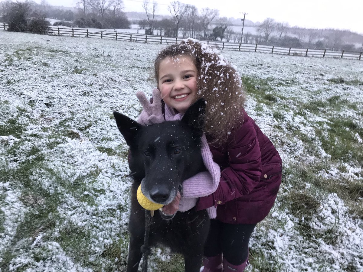 alexs_journey's tweet photo. We had a visitor today who loved to play in the snow. Dad’s colleague Andy brought PD Buzz @BuzzPd to spend time with us again. #AlexandersJourney #PoliceDog #PoliceFamily 💪🏻🦿❄️🐕 https://t.co/YC6COd8aEc