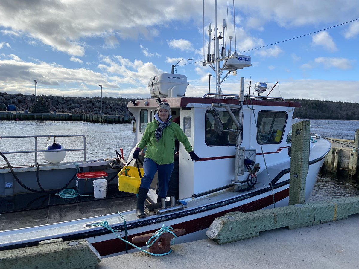 CentreCabot's tweet photo. No road, no problem.. Brave and dedicated Cabot teachers took to the high seas today to ensure they had what they needed for online learning. Coastal living at its finest… https://t.co/bjyav5laIs