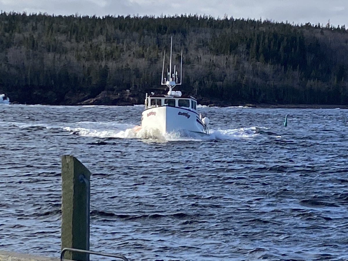 CentreCabot's tweet photo. No road, no problem.. Brave and dedicated Cabot teachers took to the high seas today to ensure they had what they needed for online learning. Coastal living at its finest… https://t.co/bjyav5laIs