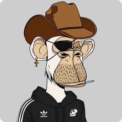 BoredClint's tweet photo. For the @BoredApeYC x @adidas collab /// https://t.co/8VFeoa7sIP