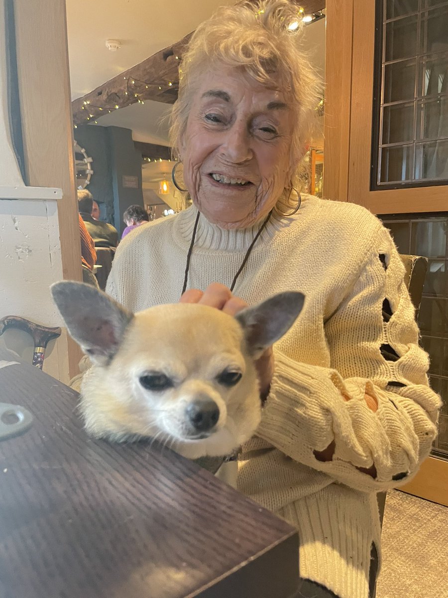 Dexter Chihuahua tweet media