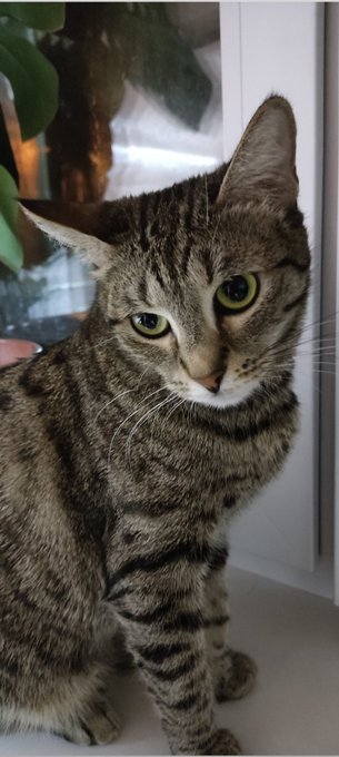 Good evening my friends! https://t.co/4YefpihoZV<a href="/tag/%D0%BD%D0%BE%D0%B2%D0%B0%D1%8F%D0%B0%D0%B2%D0%B0%D1%82%D0%B0%D1%80%D0%BA%D0%B0"class="tags"><span>#новаяаватарка</span></a>