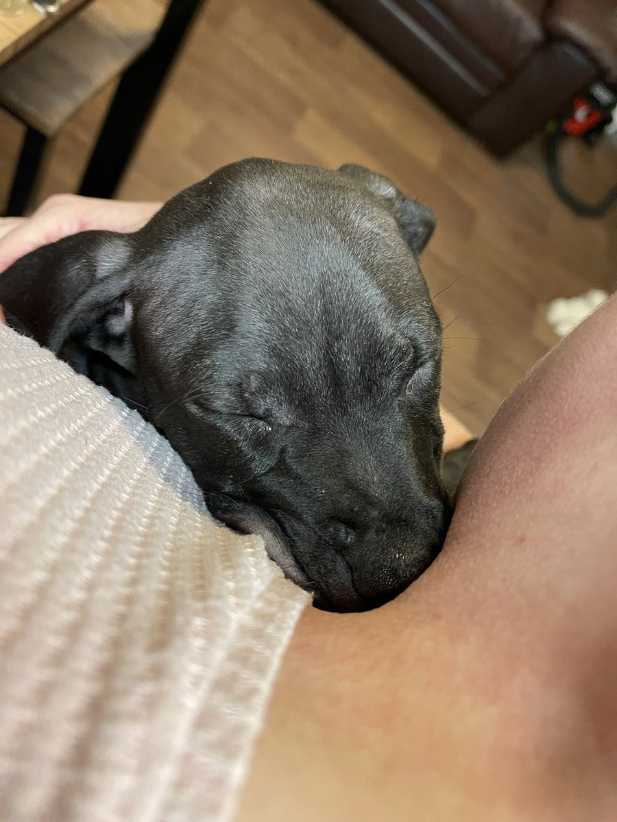 Cuddles with nanny ❤️❤️❤️❤️