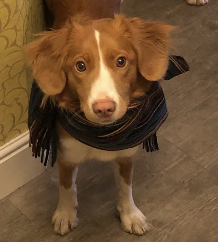 squirrel_patrol's tweet photo. Cold outside ☃️ https://t.co/eLpnClLnQF