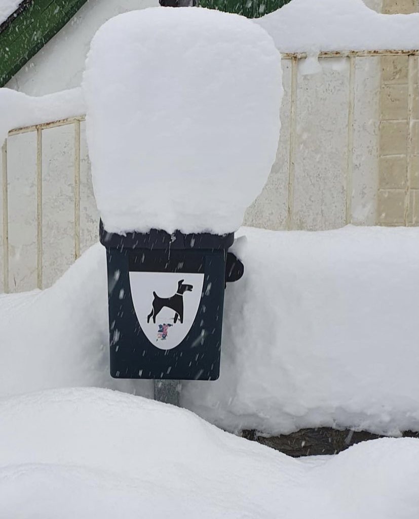 Y no lleva marcha de parar en #SalléndeGalligo 😍🏔☃️❄️

#baldetena #altogalligo #byboc #altoaragón