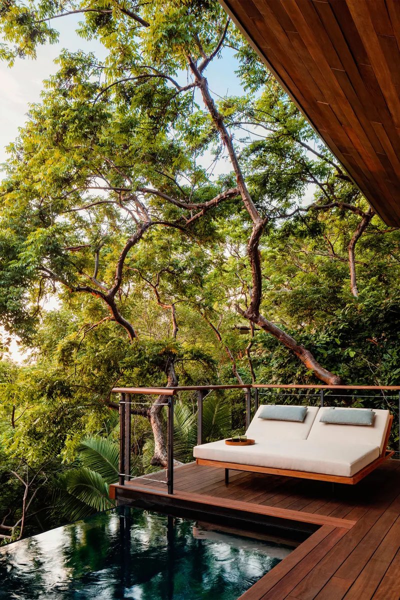This Mexican jungle treehouse is exactly where I want to be. Sublime.
