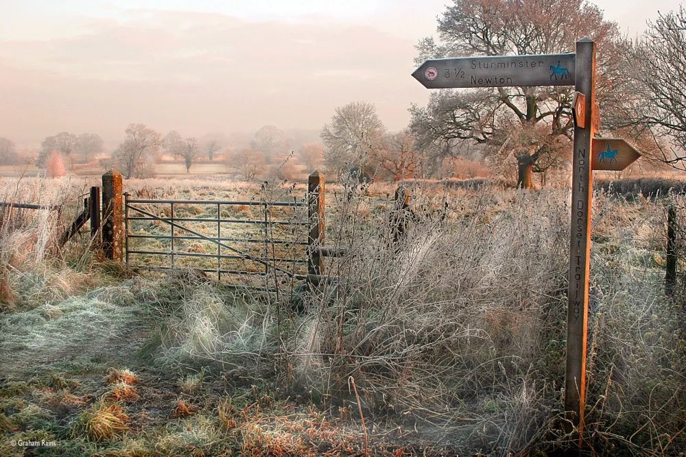 bebelattes's tweet photo. moodboard for marmalade in winter ❄️ (goin full cotswolds / james herriot / idealistic english rural countryside with it) https://t.co/cjXdZWIN9F