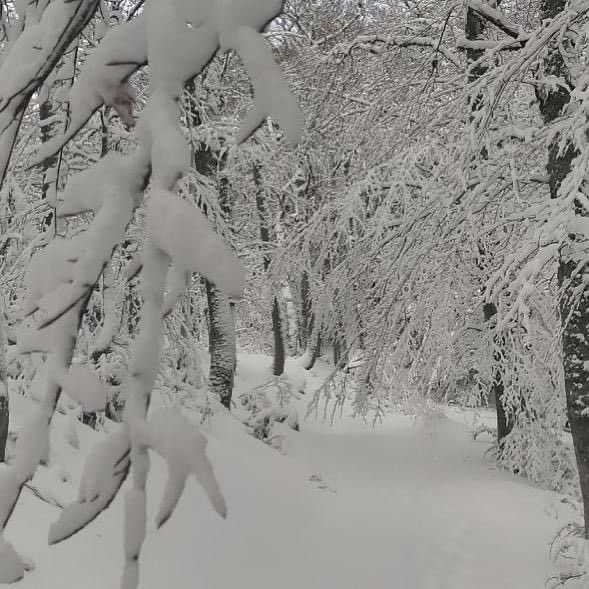cadibicci's tweet photo. È tornata la #neve a @cadibicci 🌨⛄️
#càdibicci #provinciamodena #fiumalbo #abetone @FrignanoNews @ModenaDintorni #cimone #modenaedintorni @provinciamodena #Càdibicci  #Modena #AppenninoModenese @neveitalia https://t.co/tIWrh4EHGQ