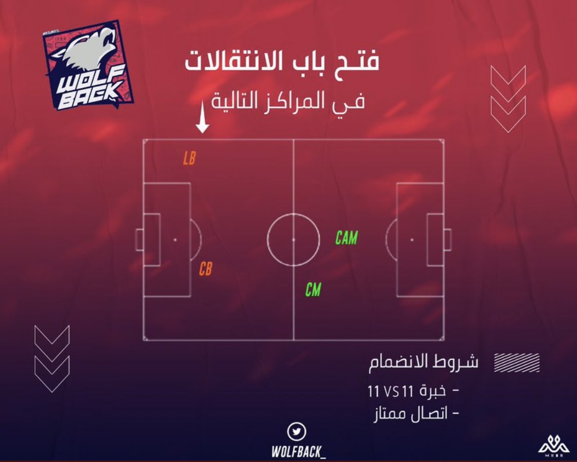 WOLFBACK tweet media