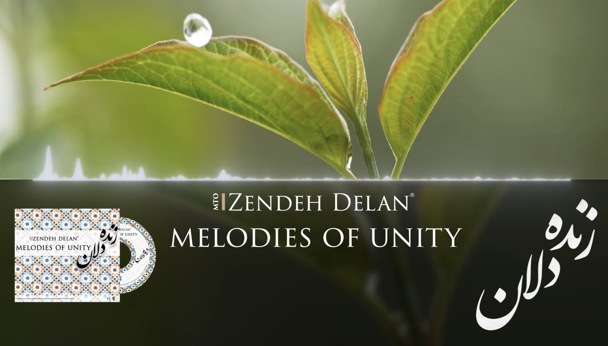 Zendeh Delan® tweet media