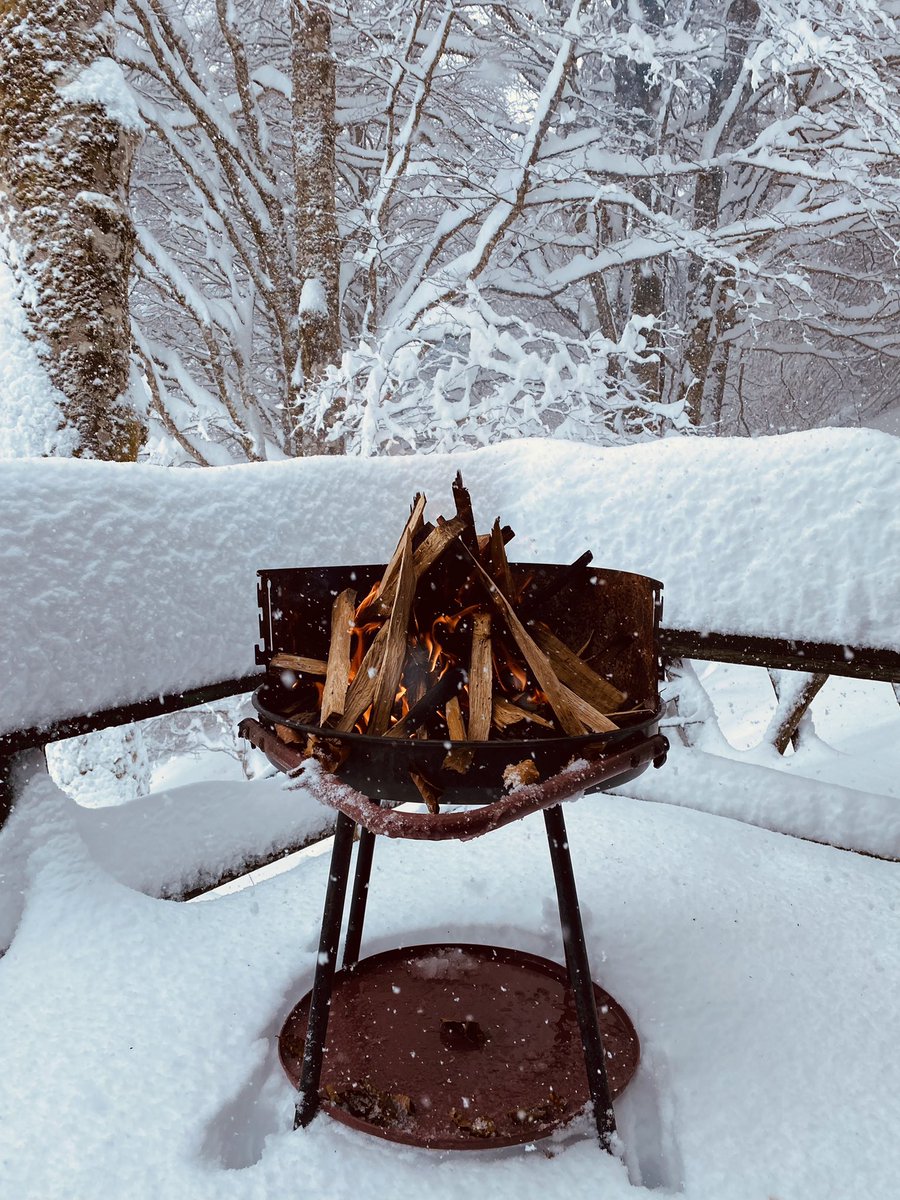 PierreAlex tweet media