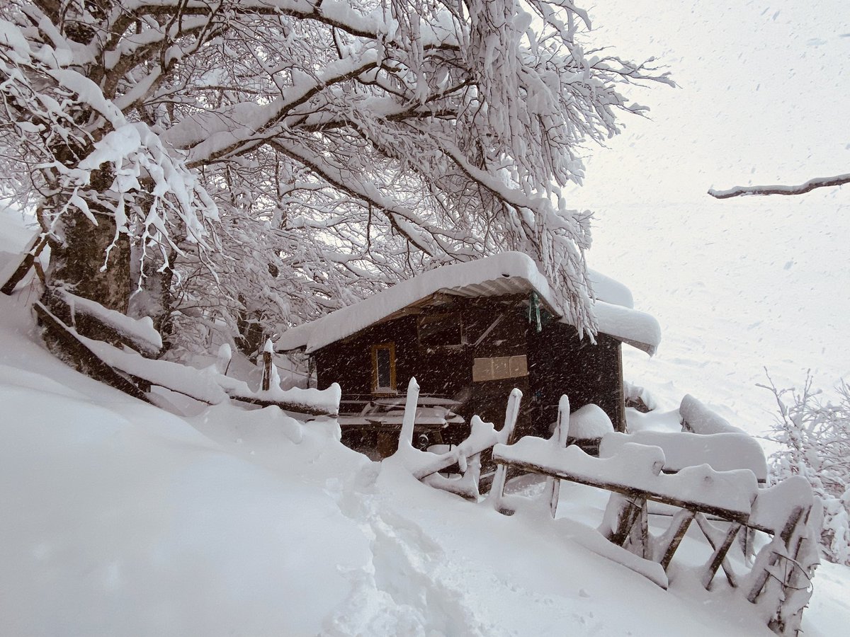 PierreAlex tweet media