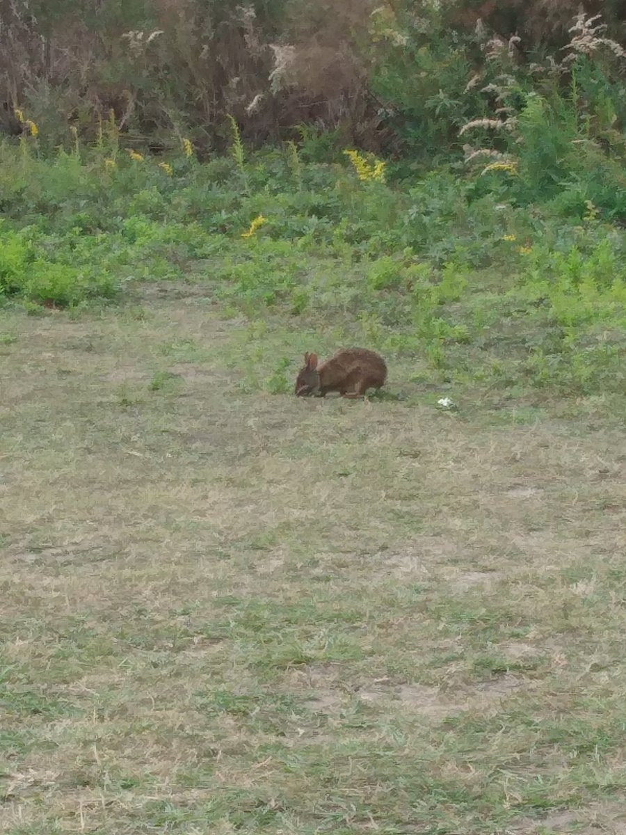 Kim (@kimkarrick) on Twitter photo 