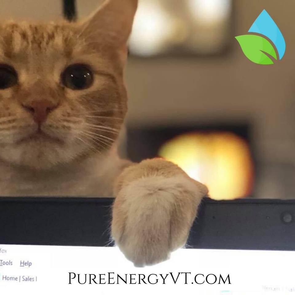What’s Sofa Sunday? You know, #cybermonday but you shop online w/ small businesses from home vs work lol 💙💚 $50+ Saves 20% + #FreeShipping at PureEnergyVT.com #madeinvermont #pureenergyapothecary #femalefounder under $50 use BFSALE21 to save 15%