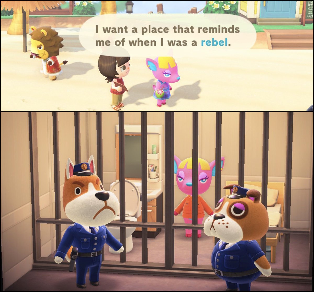 AndromedaRose4's tweet photo. Another satisfied customer #AnimalCrossing #AnimalCrossingNewHorizons #HappyHomeParadise https://t.co/6Oh1Gyj99s