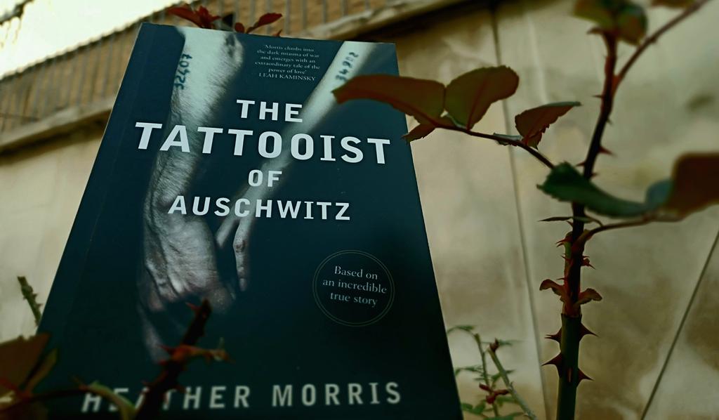 qmarsmootab's tweet photo. #THETATTOOISTOFAUSCHWITZ (4.5/5)
We stand in shit but let us not drown in it. I will live to leave this place. I will walk out a free man. If there is a hell, I will see these murders burn in it.
#HeatherMorris
๐ท Qmars Mootab
๐น๐ฌ
#QmarsMootab
#BonnierBooks
#EchoPublishing https://t.co/bxJ3BNjYC5