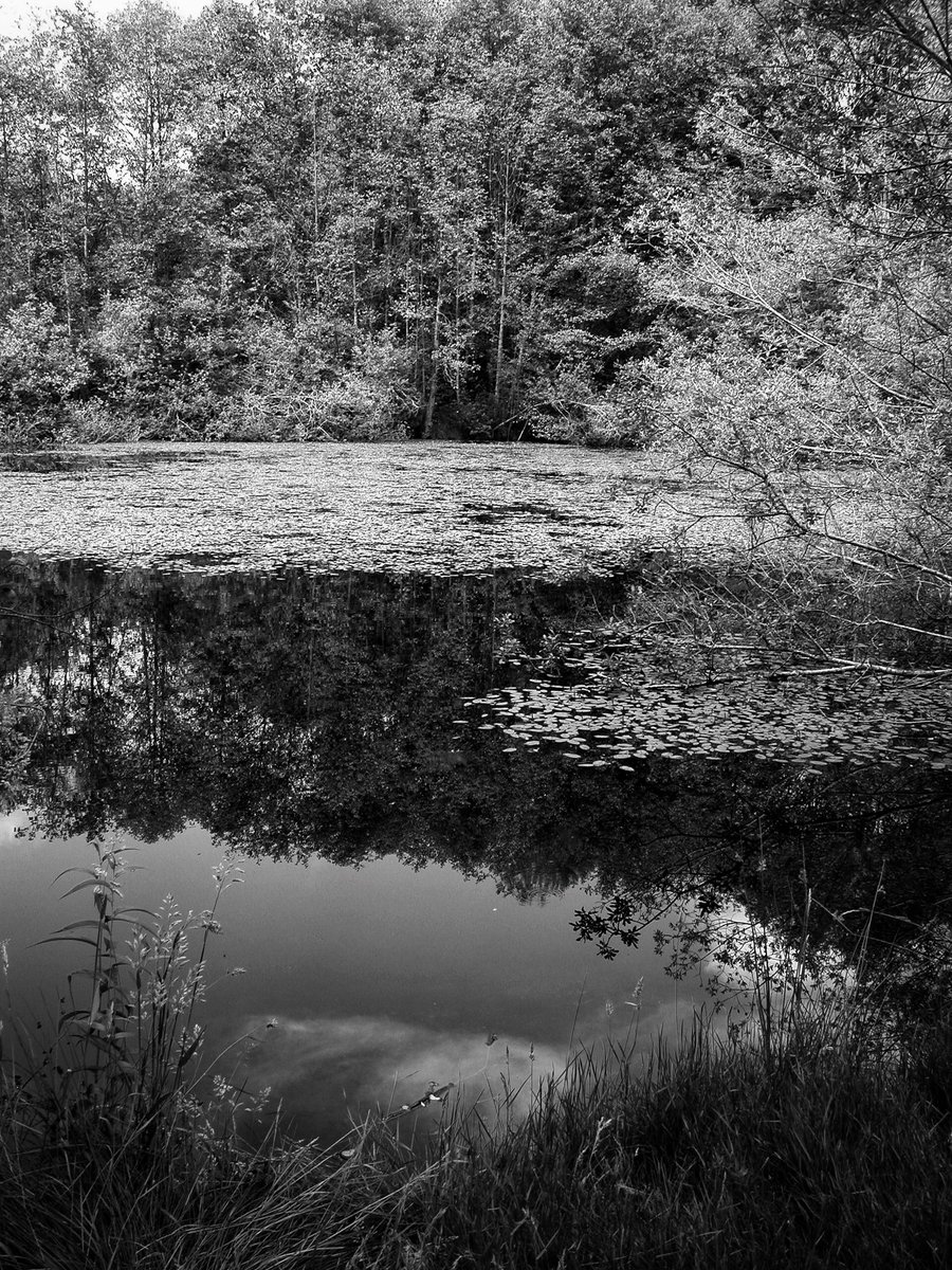 ConsumerDavid's tweet image. #blackandwhitephotography