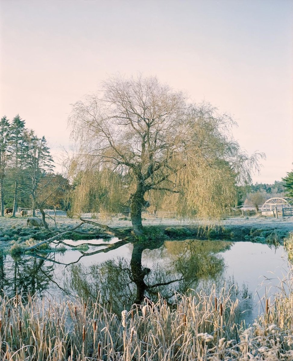 OldSchoolLab's tweet photo. Two days left to enter our #filmphotocontest by posting a photo with the tag #reflectionscontest and tag @oldschoollab and @photosmithnh by 11/30 for a chance to win a $100 gift card. Beautiful photo by @itsalifeinphotographs 🙌 #photographycompetitions https://t.co/9aasqwtHGb