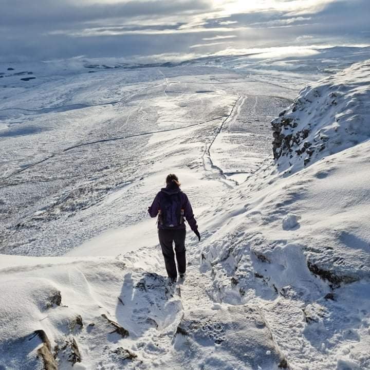 SCollinder's tweet photo. Braving the elements today ❄️❄️ https://t.co/rKvM4mwEv7