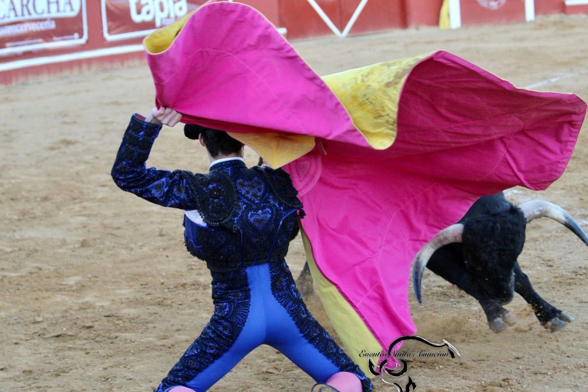 portaltaurino's tweet photo. Avance Niebla @AsuncionEventos  1/2festejo con reses de Juan Pedro @JPDomecq
para el moronense Joselito Sánchez 2orejas, el linarense @MarcosLinares_p oreja
y el sevillano Diego Bastos oreja @portaltaurino https://t.co/OBcTgiRbhw